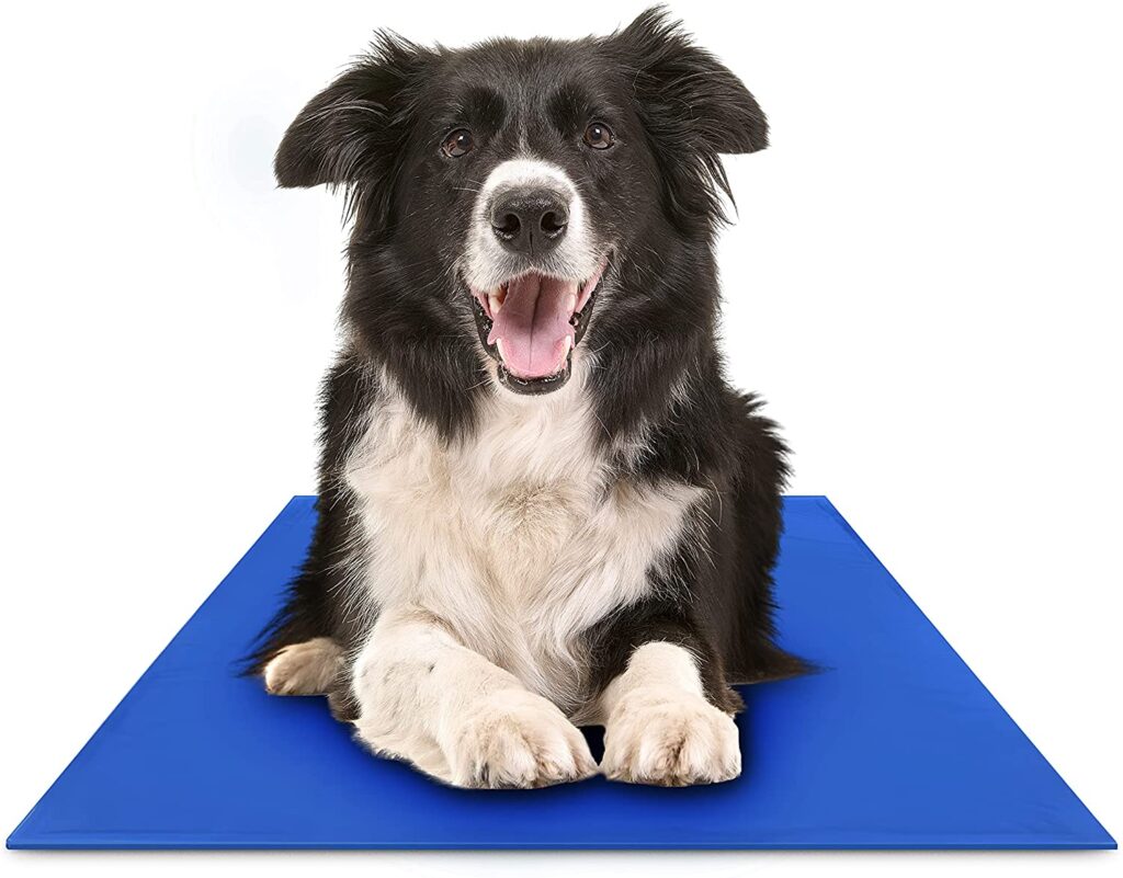 chillz-cooling-mat_cooling-pads-for-dogs