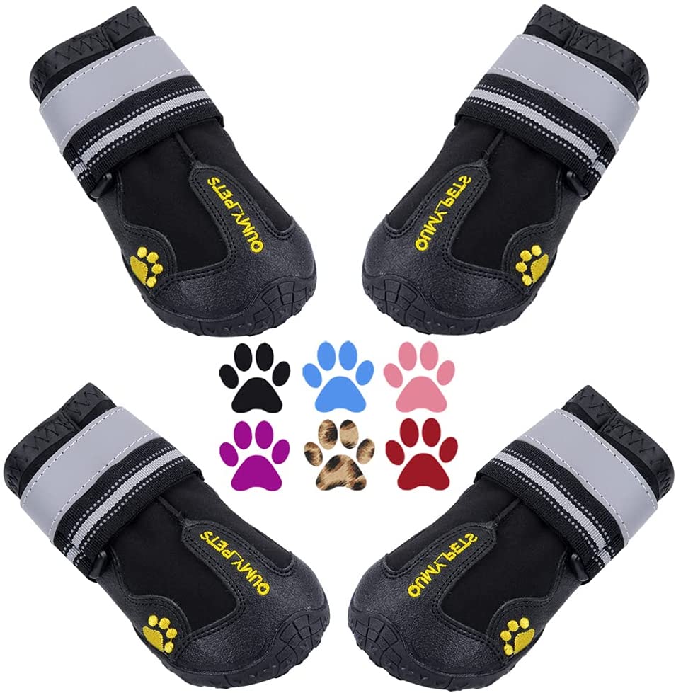 QUMY-dog-boots-waterproof_summer-essentials-for-dogs