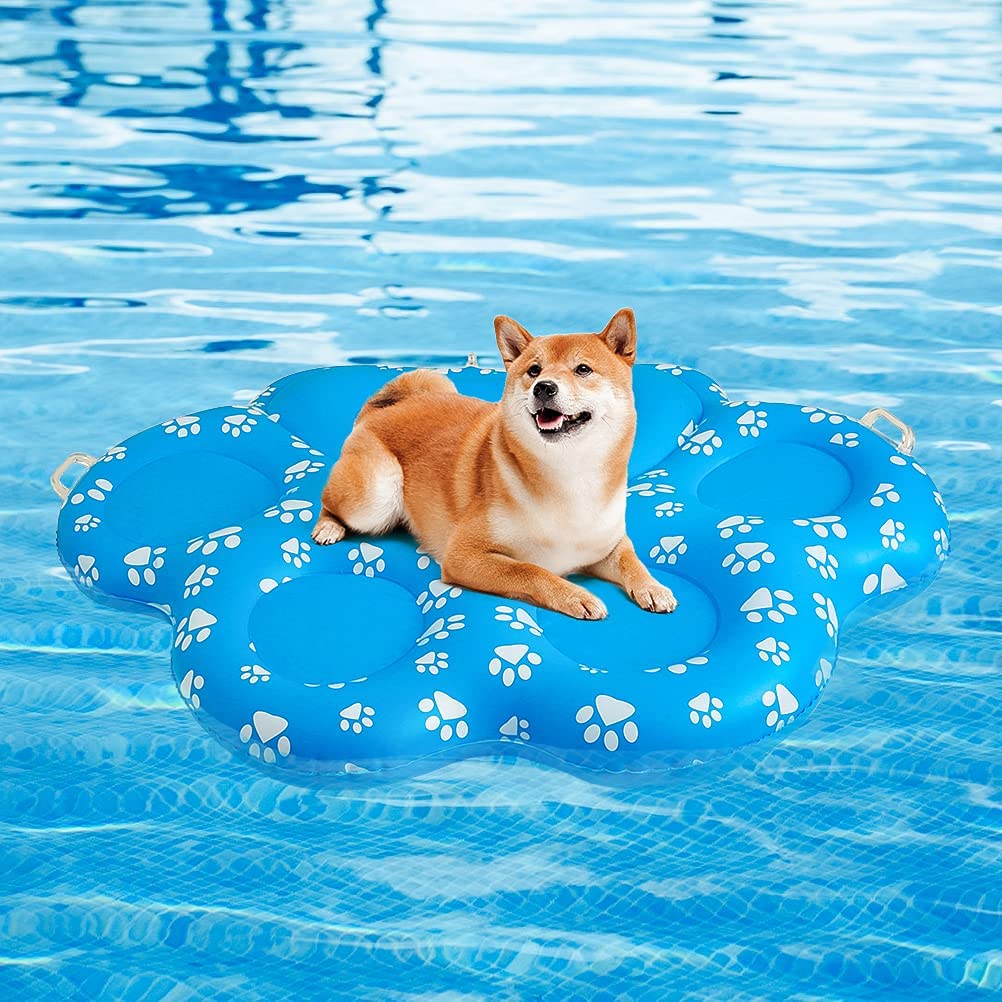 dog-pool-float-raft_summer-essentials-for-dogs