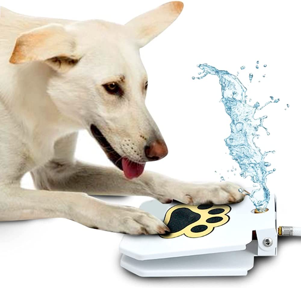 dog-step-drinking-fountain_summer-essentials-for-dogs
