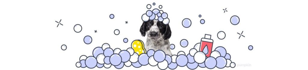 puppy-in-bubble_grooming-new-puppy